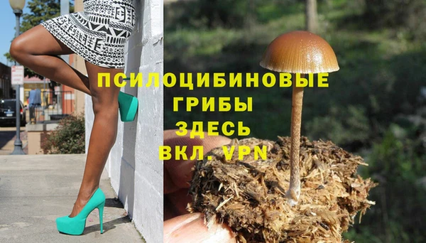 mdpv Алексин