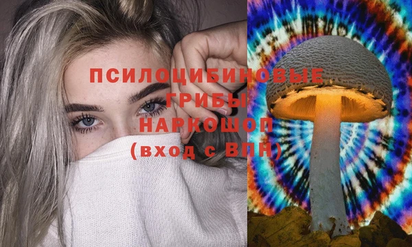 эйфоретик Алзамай