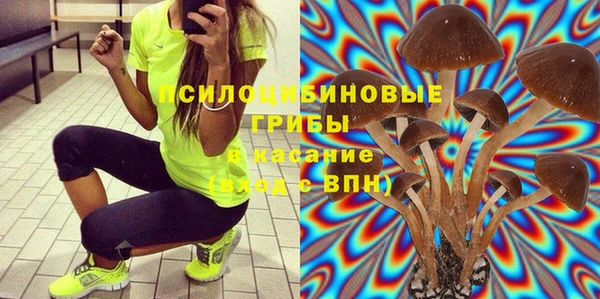 твердый Алексеевка