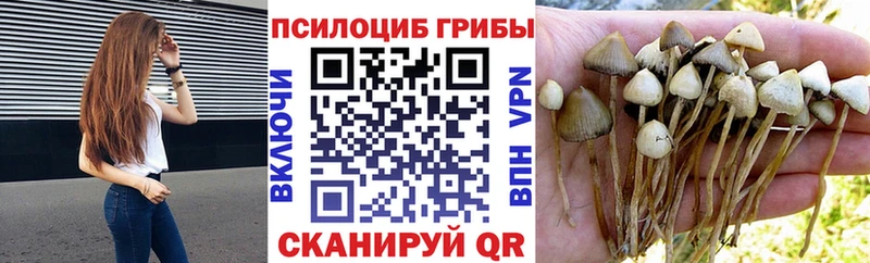 Псилоцибиновые грибы MAGIC MUSHROOMS  Новороссийск 